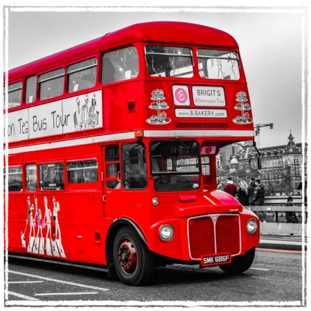 Boek 1 bus uw vaste vervoers­partner